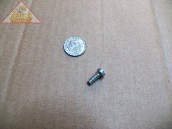 Винт крепления крышки защиты от снега (М4*10-8.8) для Stihl-361 (9041 216 0650) 