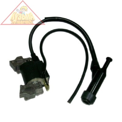 Зажигание в сборе для Carver 168 F-2
