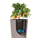 Система корневого полива Prosperplast RATO & TUBUS SYSTEM IZTS400