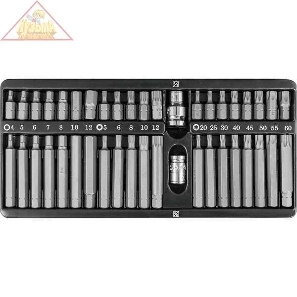 Набор вставок-бит 10 мм DR с переходниками, 42 предмета Jonnesway S29H4142SM