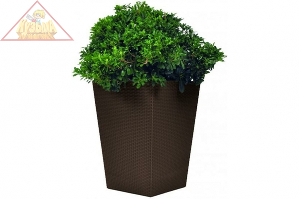 Кашпо Keter Rattan Planter M (medium) 55,4L (17192301) 228975