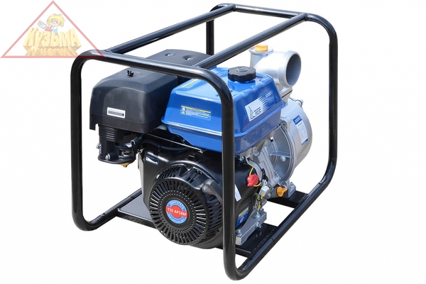 Мотопомпа TSS PGS100, 038047