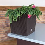 Кашпо для цветов Prosperplast RATO LOW антрацит 2 предмета 37 и 64л DRTS400L-S433