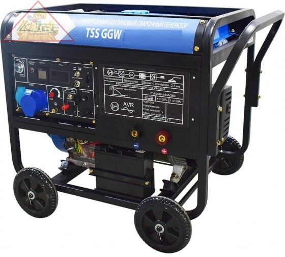 Инверторный бензиновый сварочный генератор TSS GGW 6.0/250D-R арт 031170