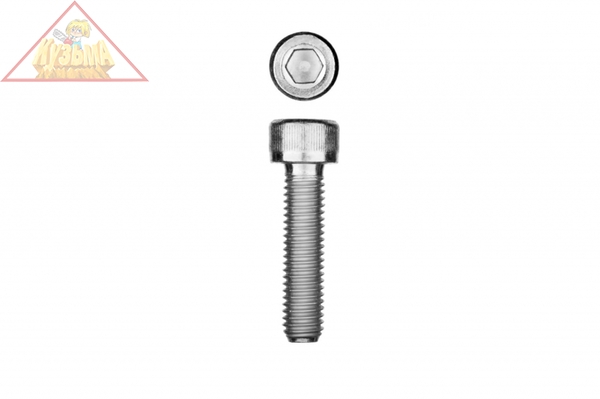 Винт ЗУБР DIN 912, М10x35 мм, 5 кг, 170 шт., кл. пр. 8.8, оцинкованный, 30318-10-035