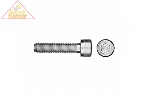 Винт ЗУБР DIN 912, М8x20 мм, 5 кг, 390 шт., кл. пр. 8.8, оцинкованный, 30318-08-020