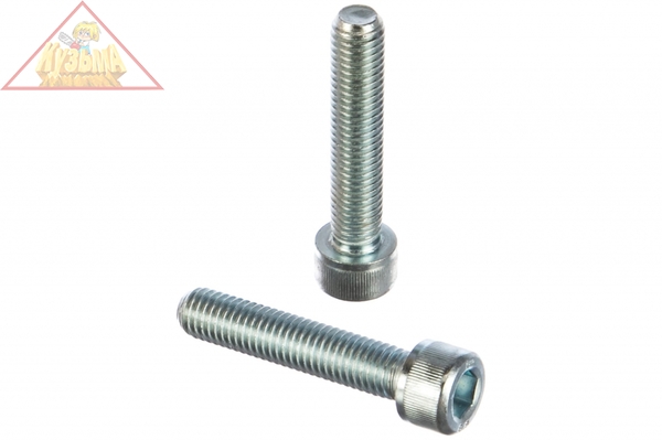 Винт ЗУБР DIN 912, М12x45 мм, 5 кг, 100 шт., кл. пр. 8.8, оцинкованный, 30318-12-045