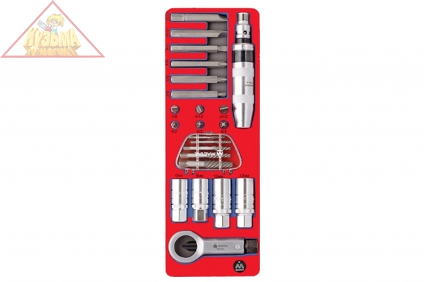 Демонтажный набор с ударной отвёрткой (ложемент, 24 предмета) МАСТАК 5-19424