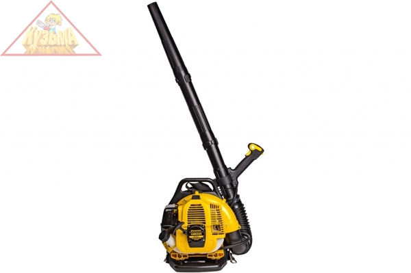 Воздуходувка Champion GBR333