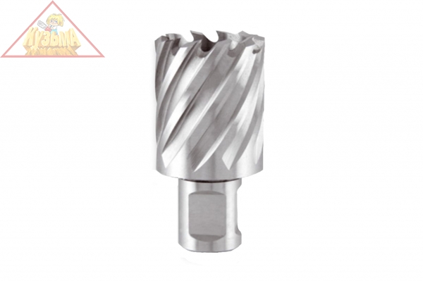 Сверло корончатое (17х30 мм; HSS) RUKO 108217