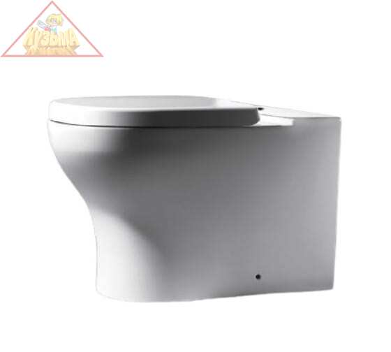 Унитаз-компакт (чаша), сиденье в комплекте BRAVAT RAEL CX01016UW-PA-RUS