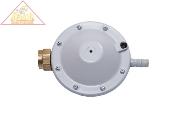 Регулятор давления сжиженного нефтяного газа РДСГ 1-1,2