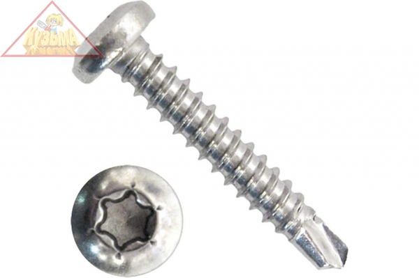 Нержавеющие саморезы DS-P с полукруглой головкой, 19 х 3.5 мм, 800 шт, KRAFTOOL 300931-35-019