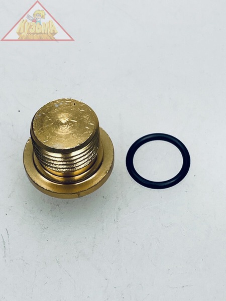 Пробка (YLP16-PLUG-M16 ASSY) для мойки высокого давления Sturm!, PW92130I-2-30,31 (ZAP517409800)