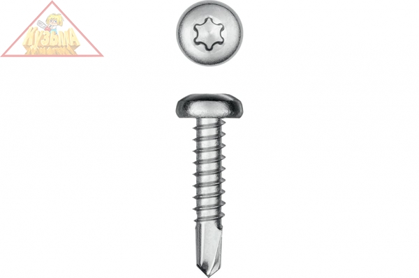 Нержавеющие саморезы KRAFTOOL DS-P с полукруглой головкой, 19x4.8 мм, 350 шт. 300931-48-019