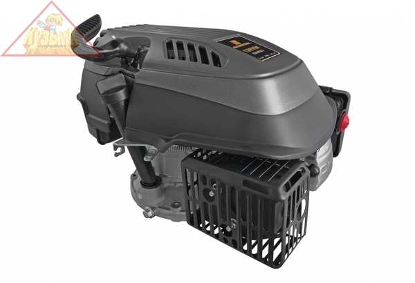 Двигатель CARVER 173VМ 01.025.00072