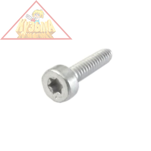 Винт с цилиндр. головкой М6*20 на глушитель для Stihl-660 (9022 341 1300)