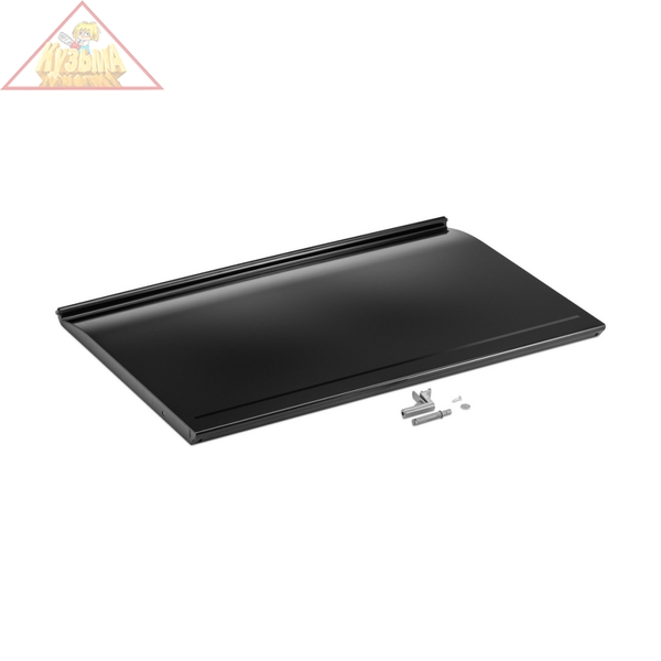 Дверь FM, большая 2.855-278.0 Karcher 