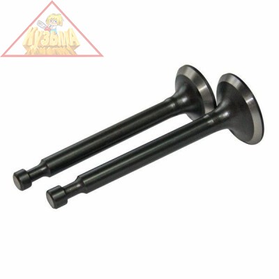 Клапан для Carver 168F-2 (пара)